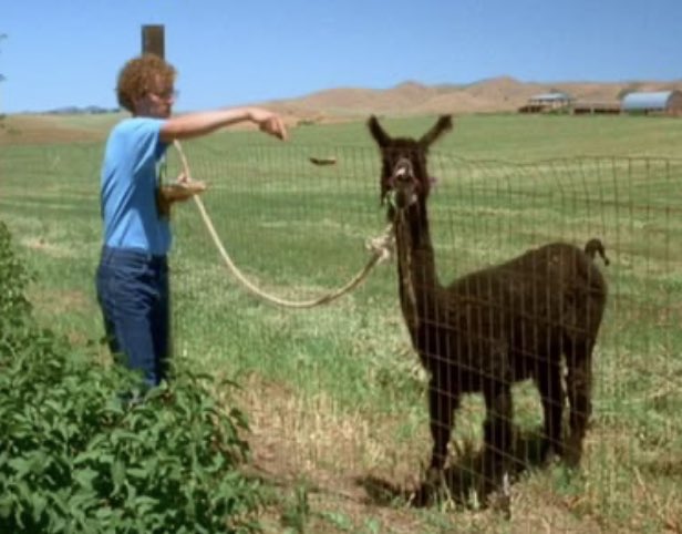 OrbitingIo tweet media