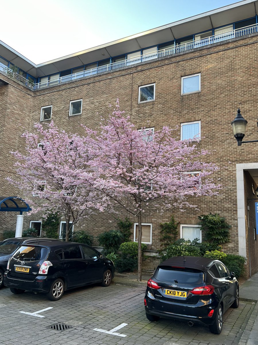 Raghav Joshi tweet media