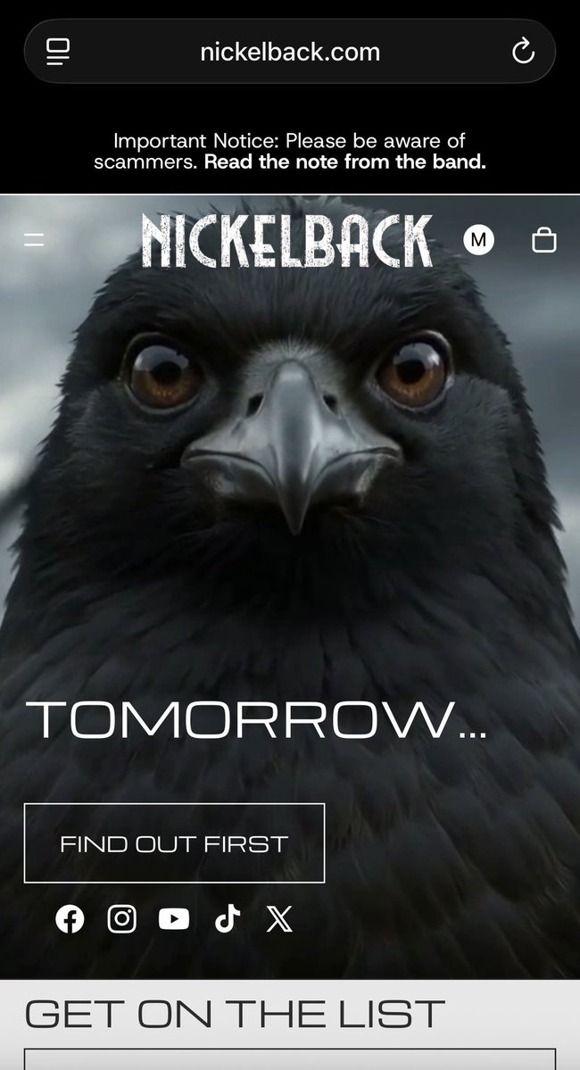 Nickelbacker Germany tweet media