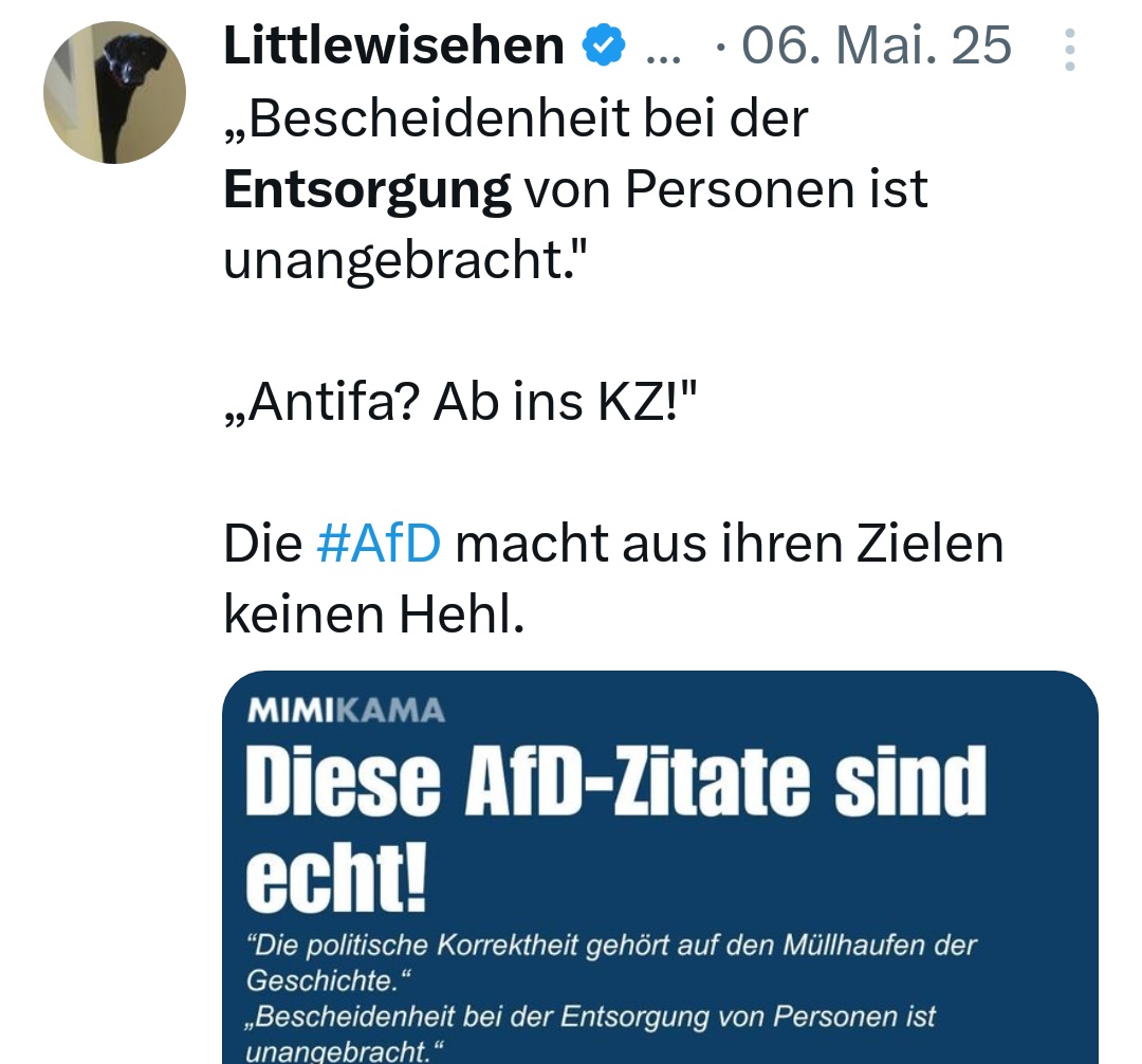 Claudia Quinta tweet media