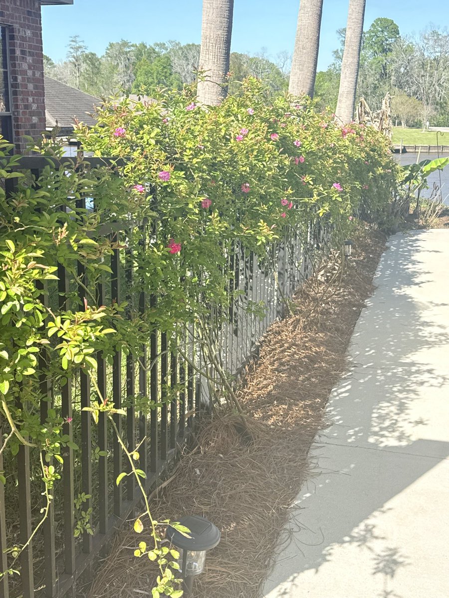 Playteaux tweet media