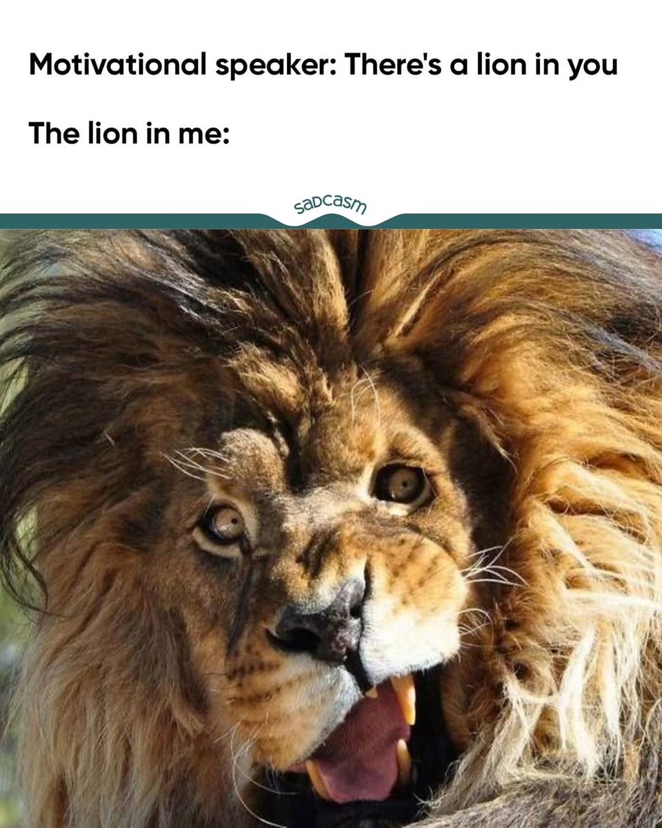 TheManWhoFellToEarth tweet media