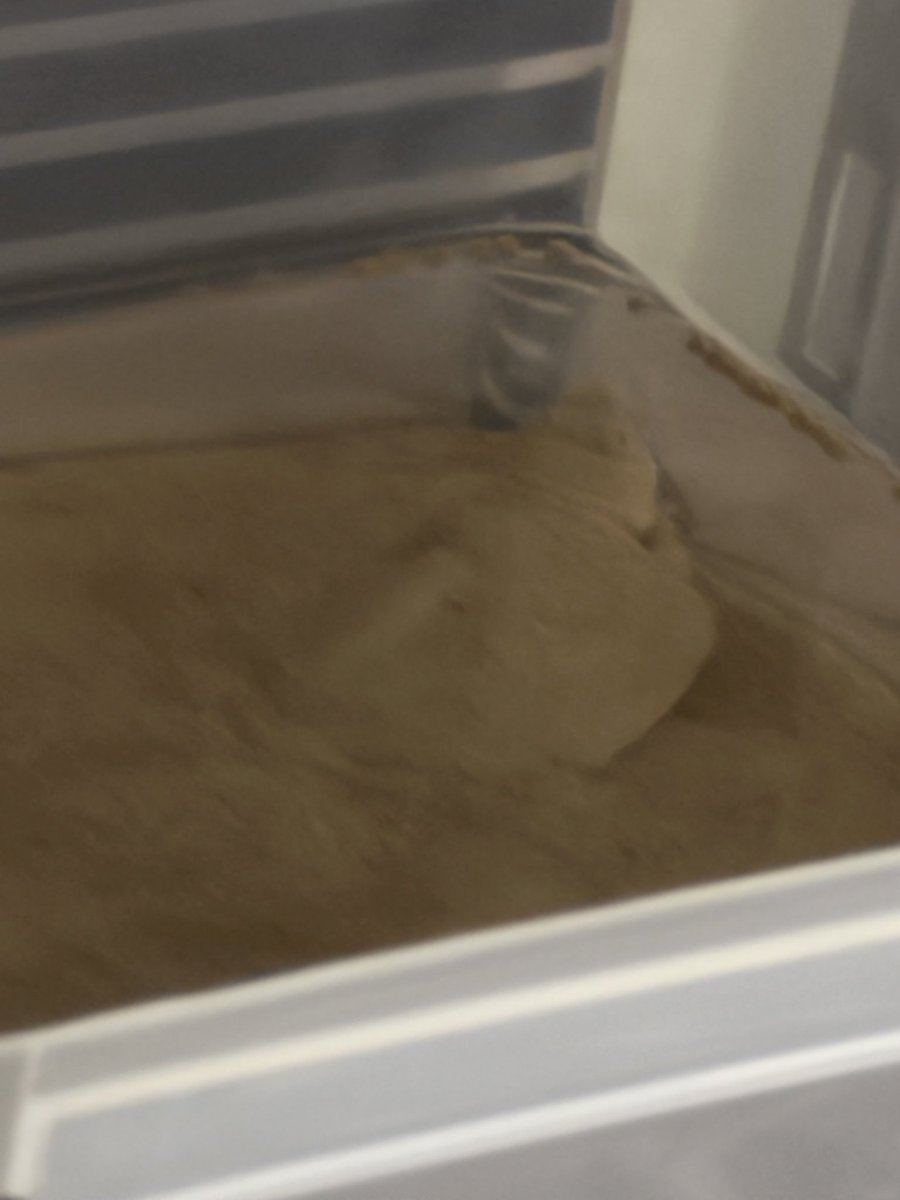 なまこ tweet media