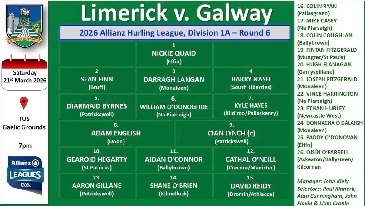 Cuimhnigh ar Luimneach : Limerick Supporters Group tweet media