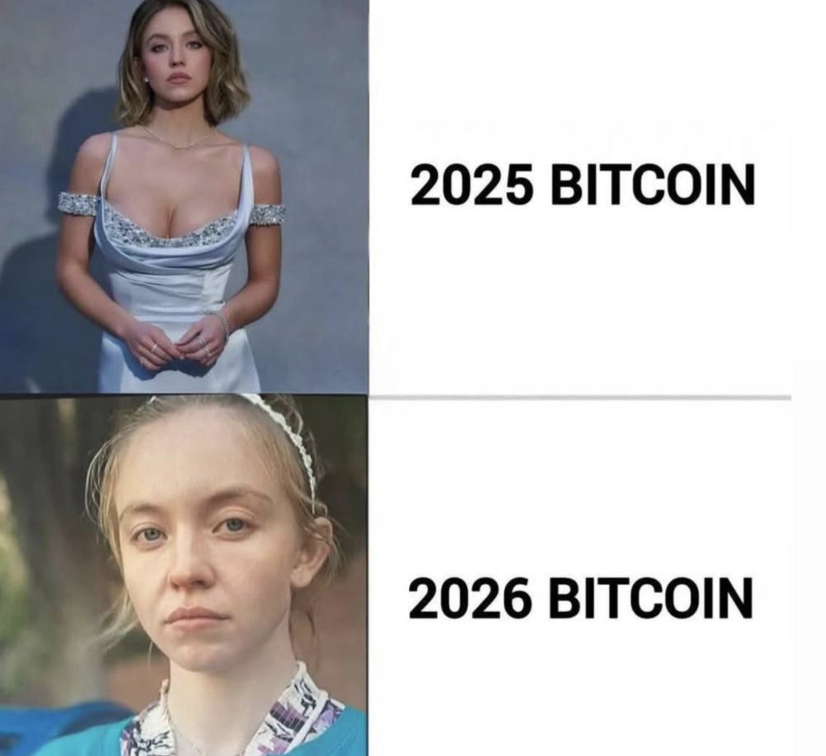 Blockchain Bob tweet media