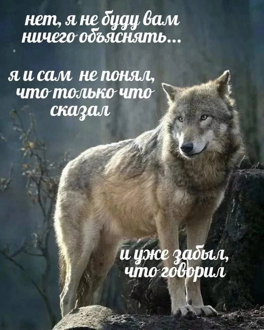Обо мне в 4 мемах