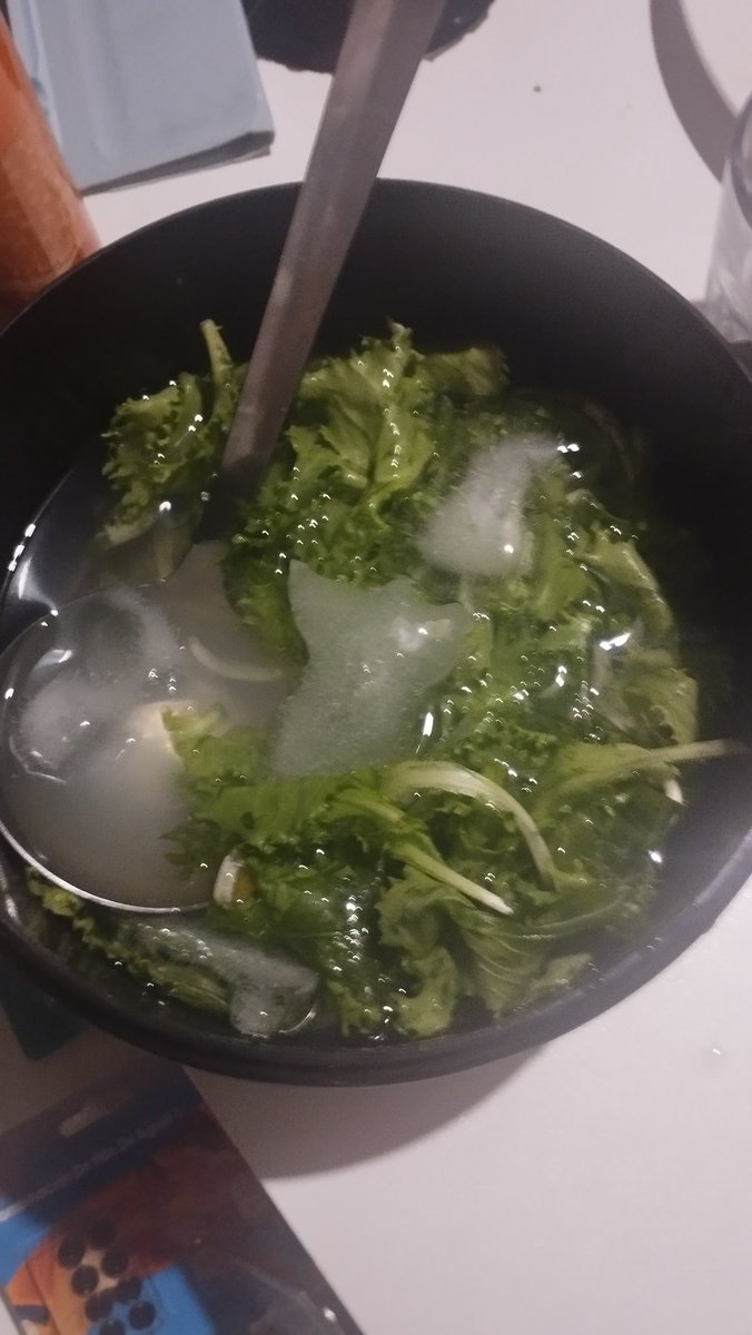 Pinguctus 🍂 tweet media