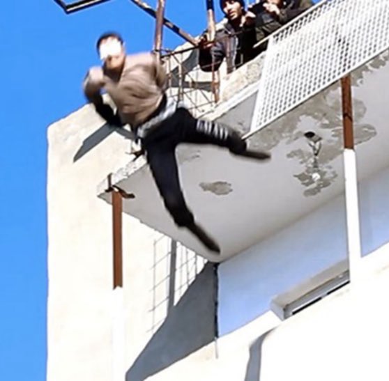 Carico The Lionheart tweet media