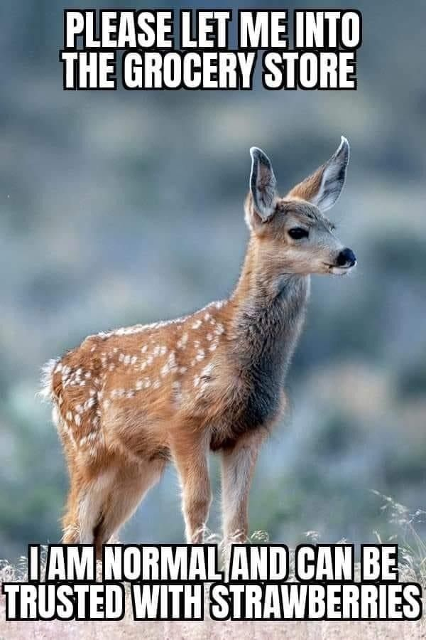 John fawn tweet media