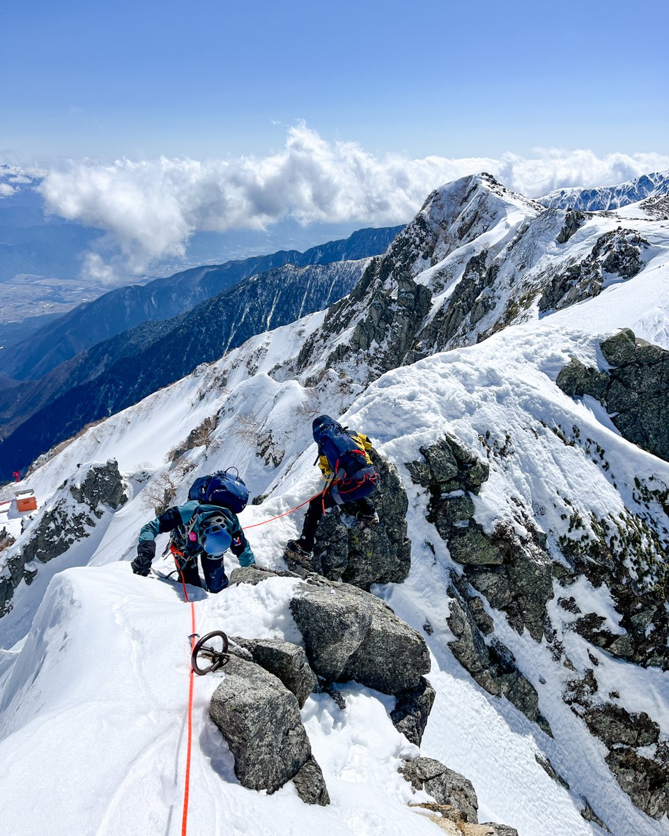 ミレー tweet media