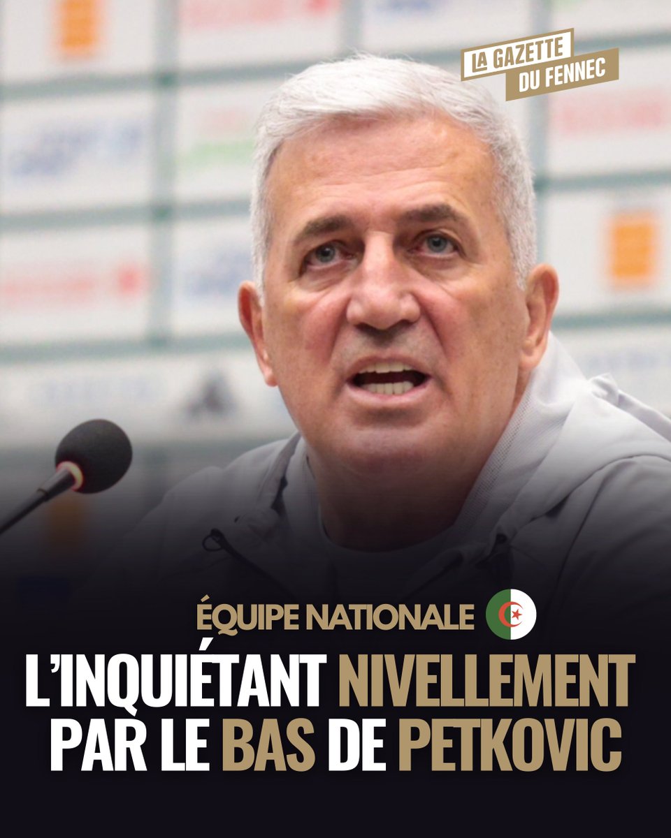 La Gazette du Fennec tweet media