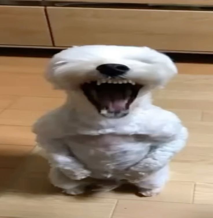 fazer uma thread de personagens q eu acho que possuem pele parda pq eu vi um tweet da lyle e me deu ideias