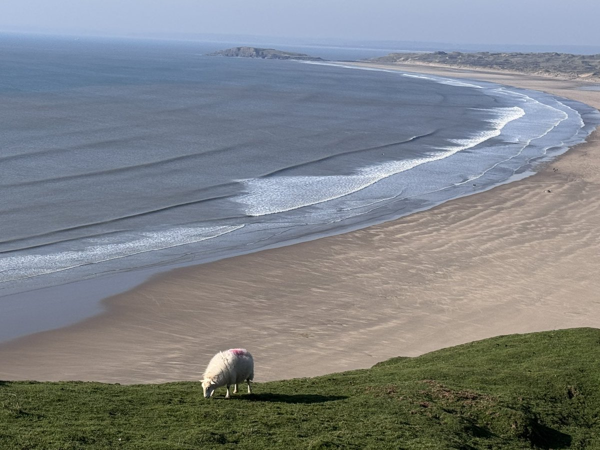 Zing Tours tweet media