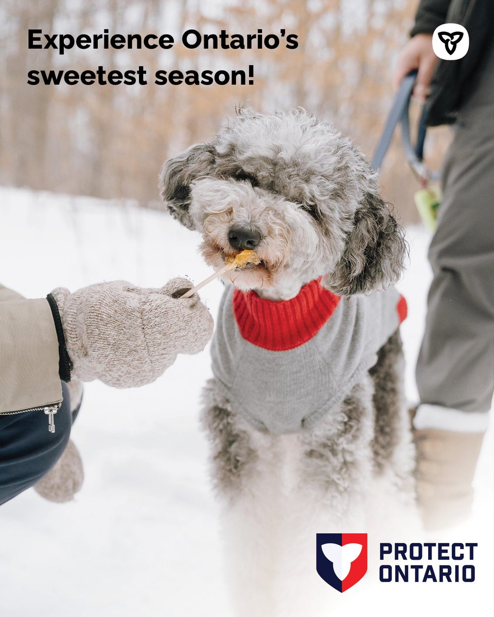 Explore Ontario tweet media