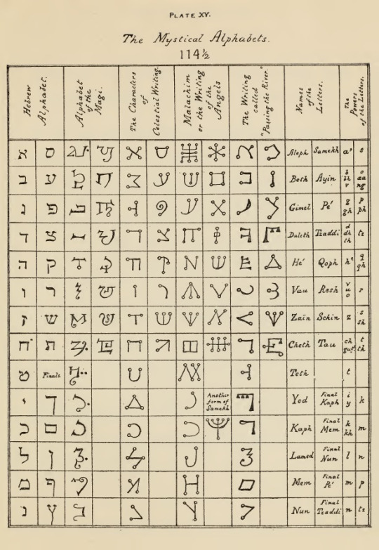 Wolfsinn tweet media