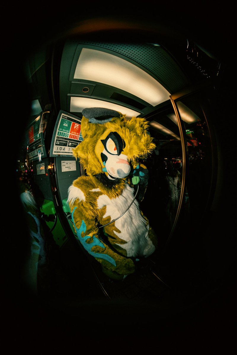 Kael 🔜 NFC tweet media