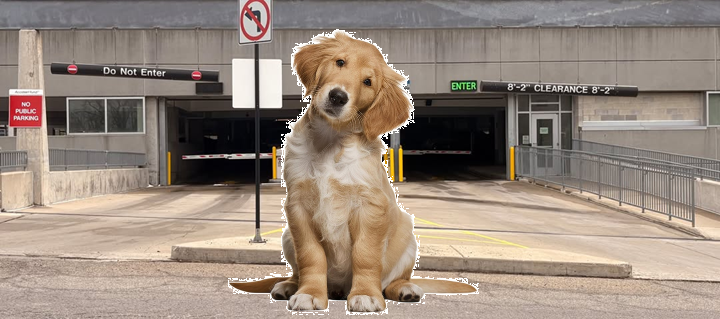 Colonial Rebel, Pheardom tweet media