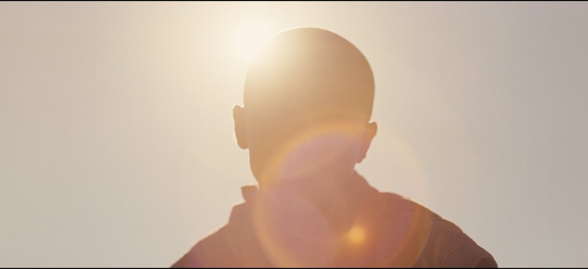 Columned tweet media