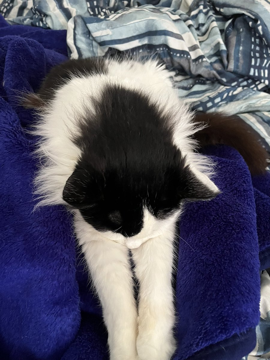 Miss April 🇺🇦🇰🇷🦁 tweet media