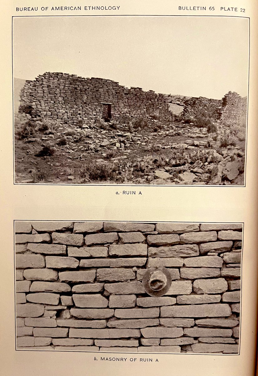 MoundLore tweet media