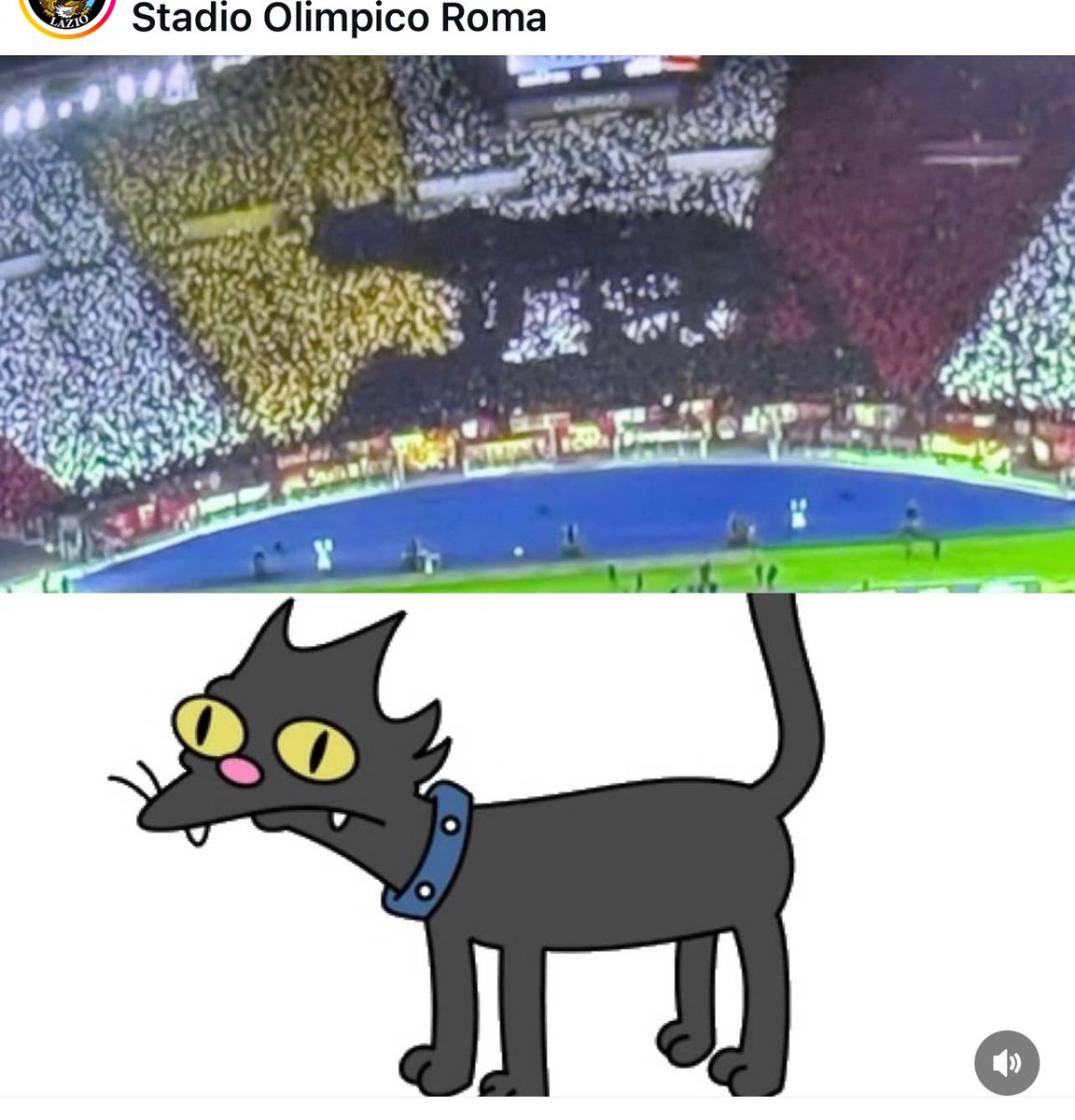 Blue Is the color tweet media