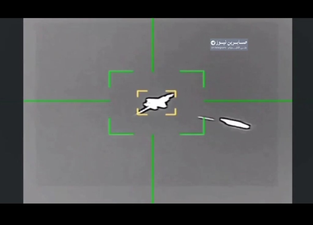 Ł̃ᵾ̃ɨ̃𝐙 #ClimateEmergency 🦎🦔🦆🐼 tweet media