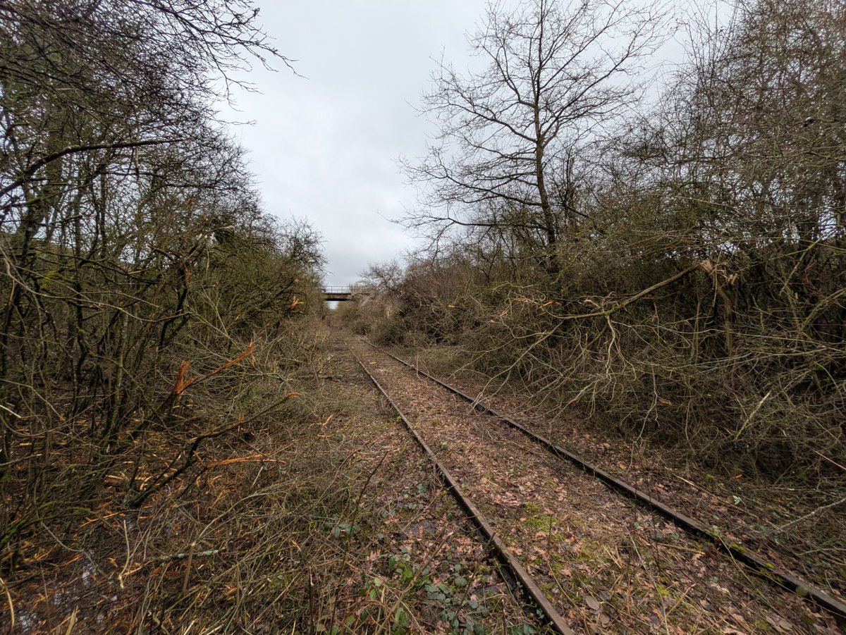 ALEMF - Espace gare de Vigy tweet media