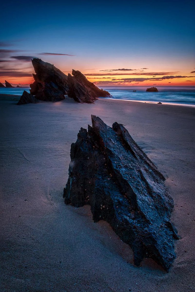 AmericaReal tweet media