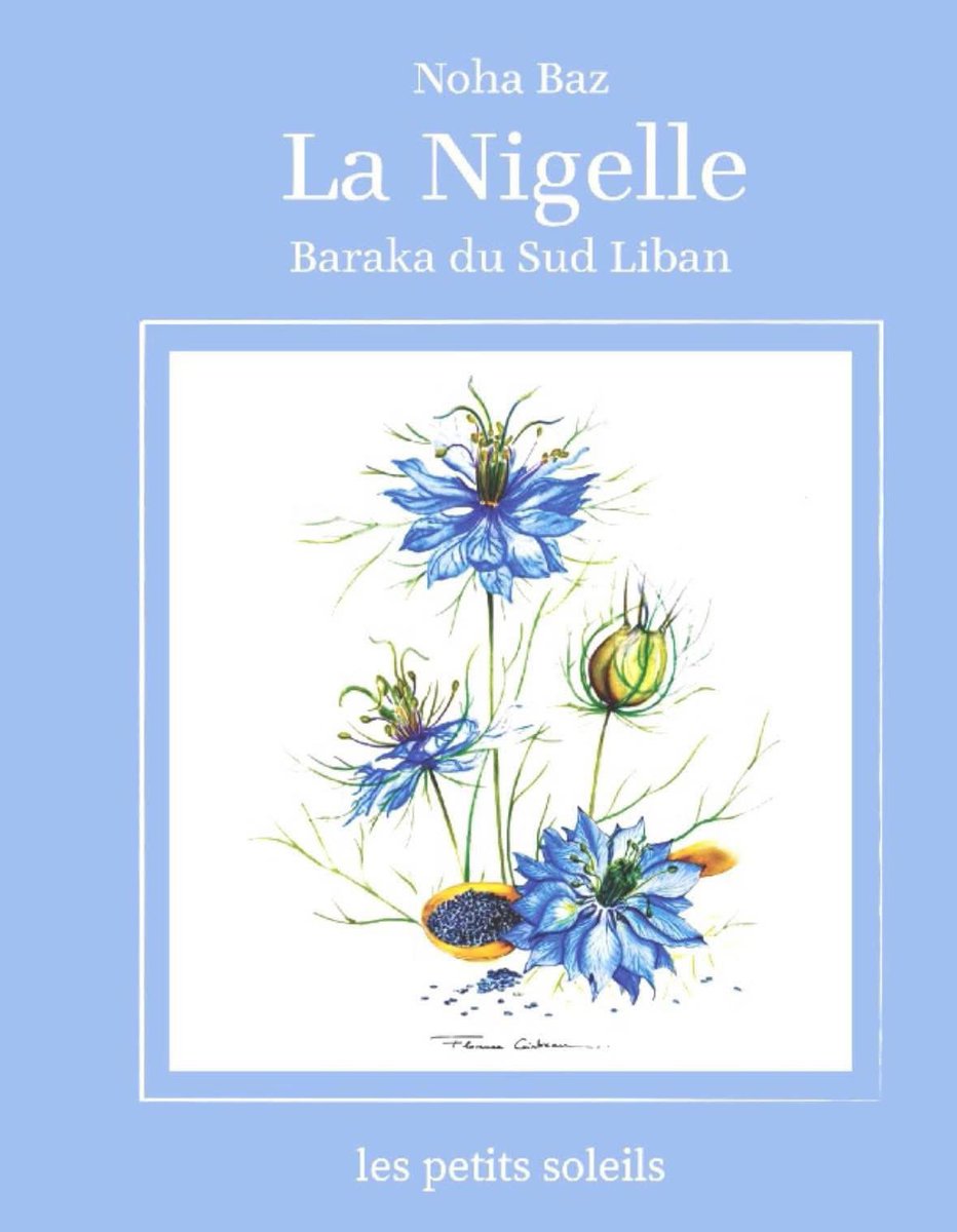 nohabazMD tweet media