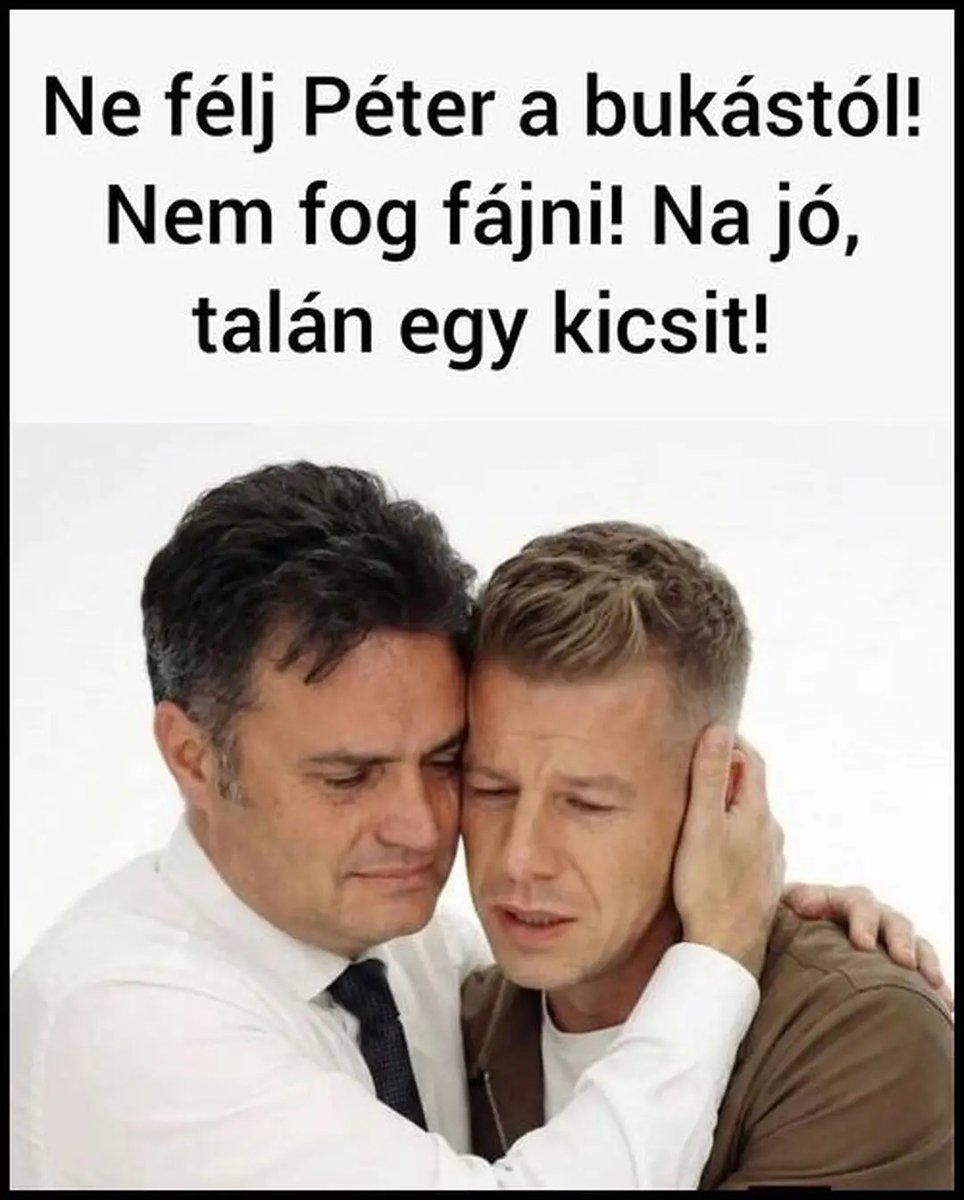 F.T. 🇭🇺 tweet media