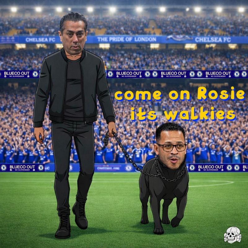 Steve G ⭐️⭐️🇬🇧 tweet media