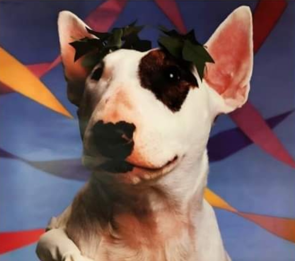 Bite-Sized Nostalgia tweet media