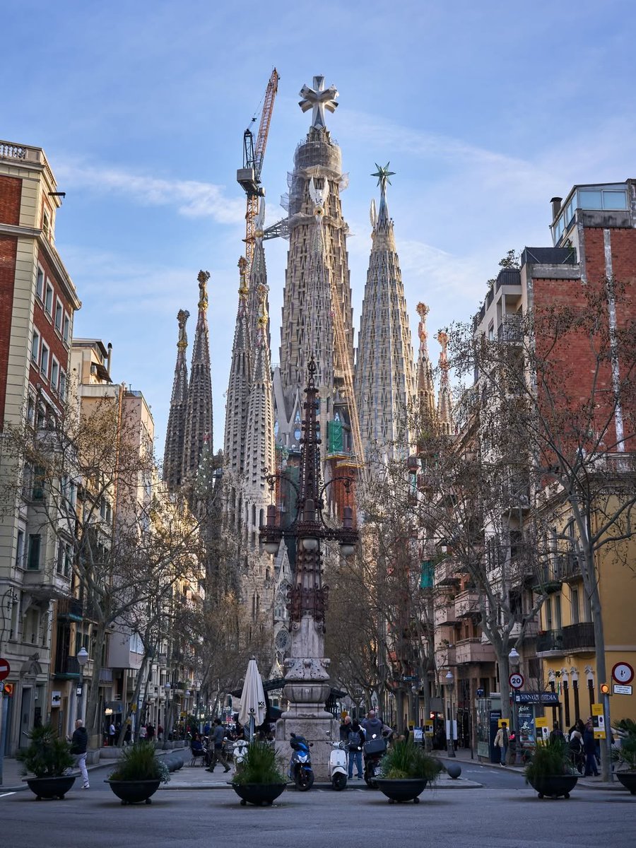 Seascape Nature tweet media