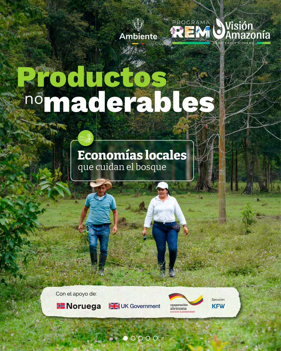 REM Colombia - Visión Amazonía tweet media