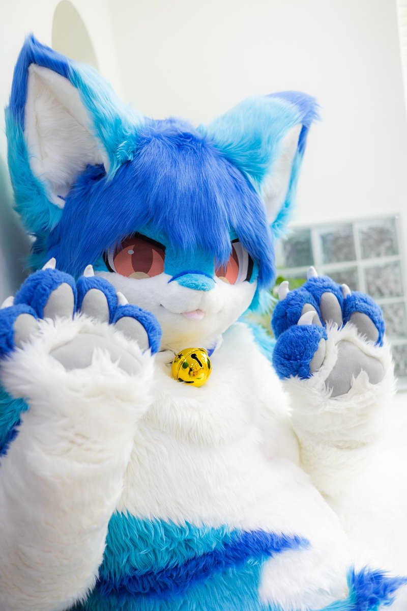 치야🌟(크잉🦈)🔜퍼클(서울) tweet media