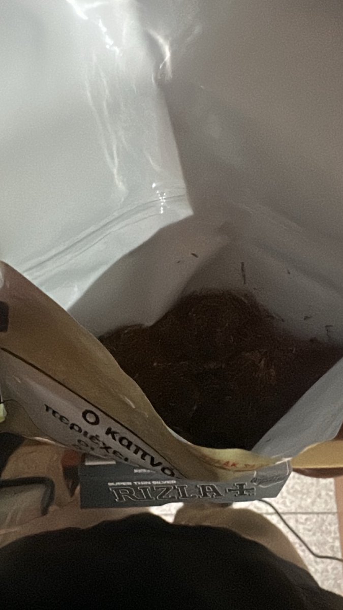 Fredossketos tweet media