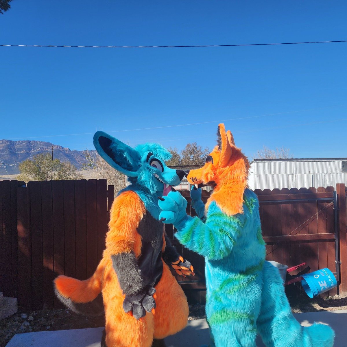 Grease Wolf tweet media