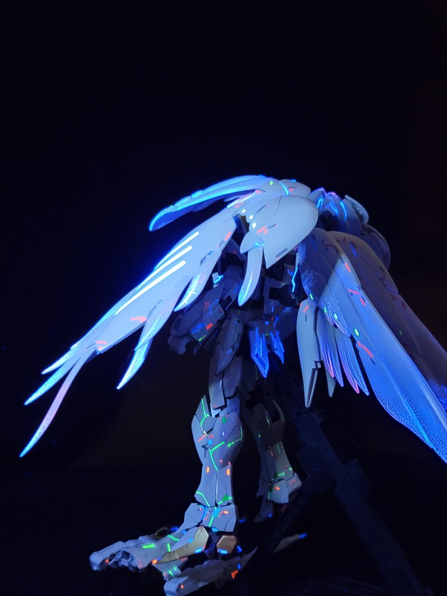 Anis Seghaier tweet media