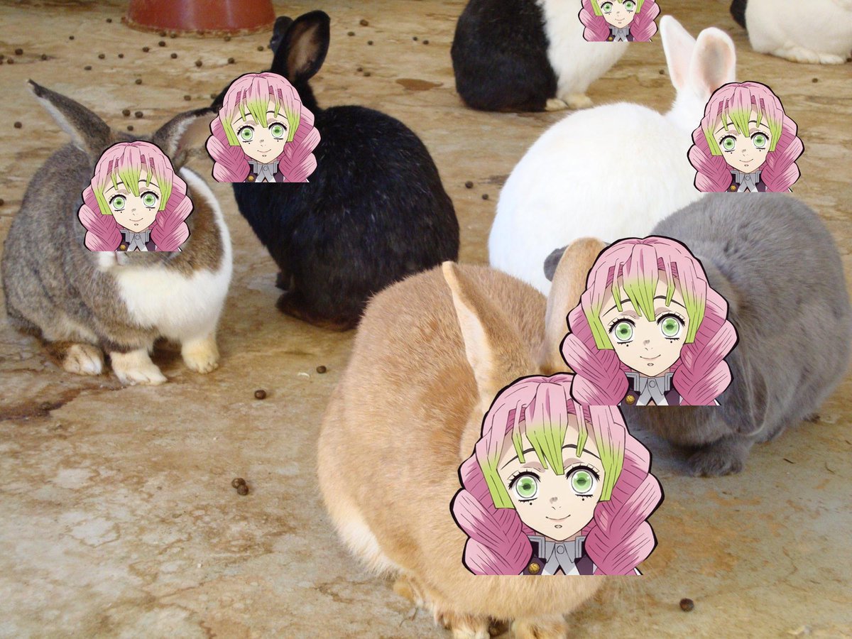 ᅠ ⌗ᅠ *ᅠ ׄ ᅠ⸝⸝ᅠ 𝑖͟𝗴𝚄𝚁𝙾ᅠ🐍ᅠ⋮ᅠ ׄ ᅠ. tweet media