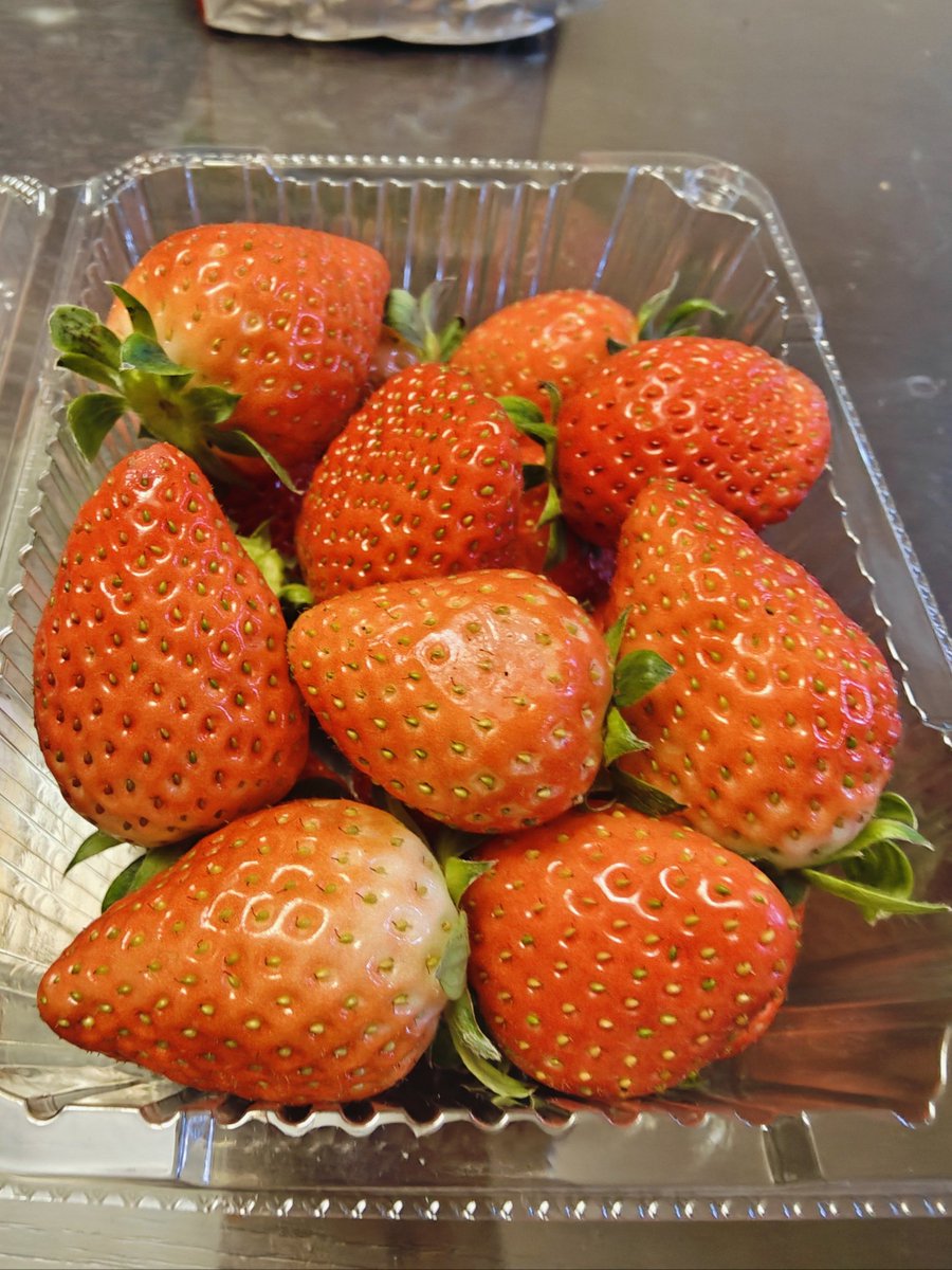 maxmud kuranbayev tweet media