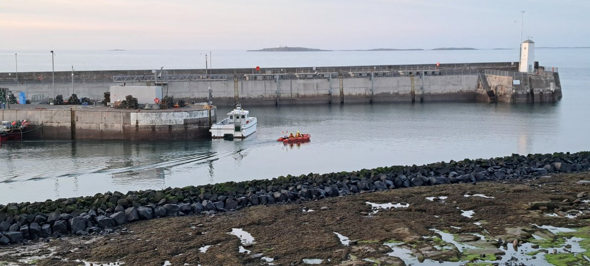 Alison Bosworth 🦇🦎 tweet media