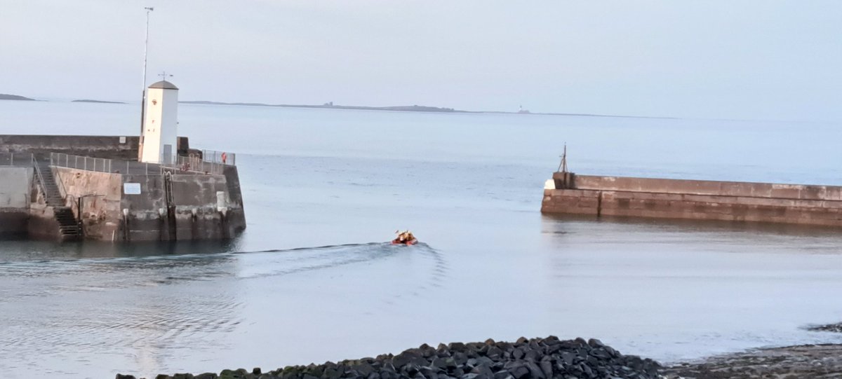 Alison Bosworth 🦇🦎 tweet media