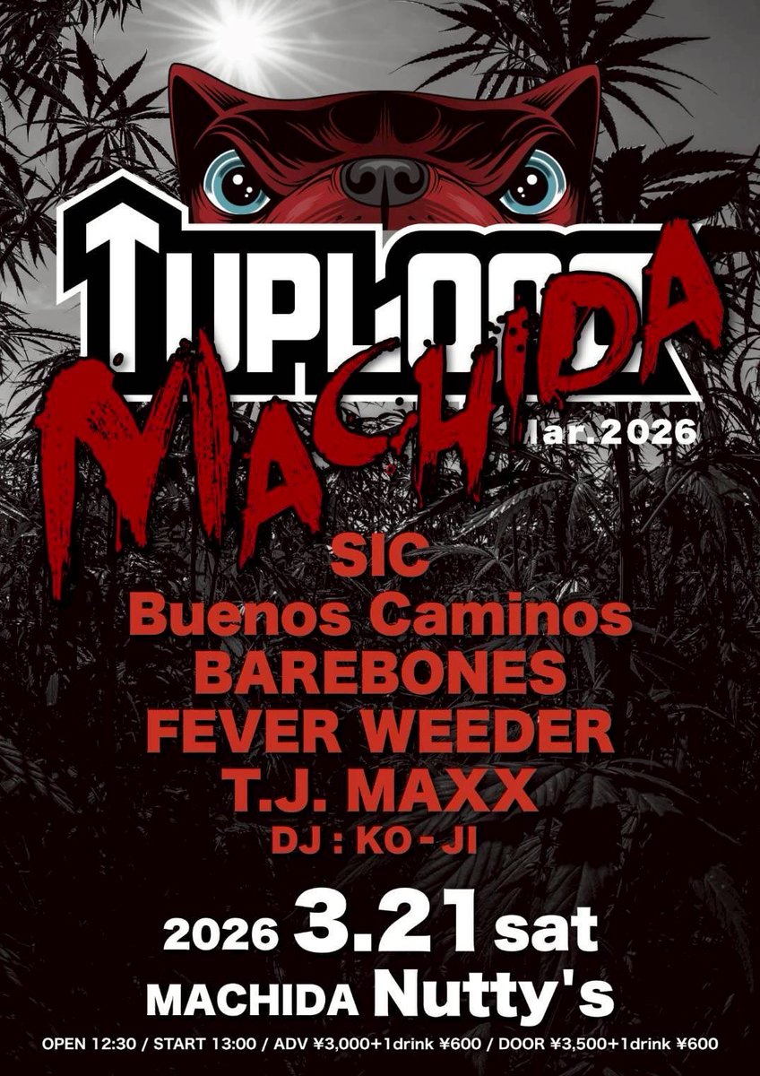 skatethrasher tweet media