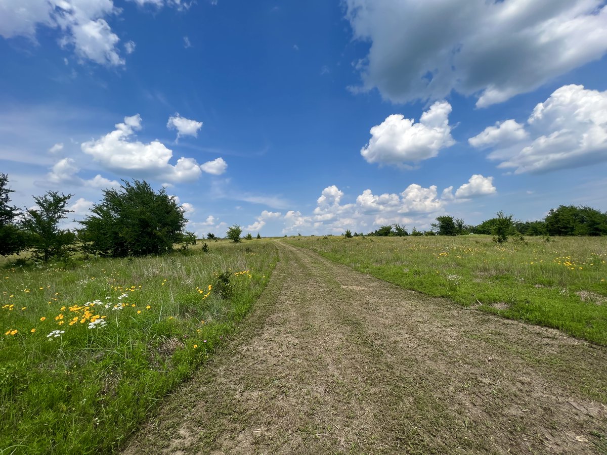 Ravensfell 🇺🇸 tweet media