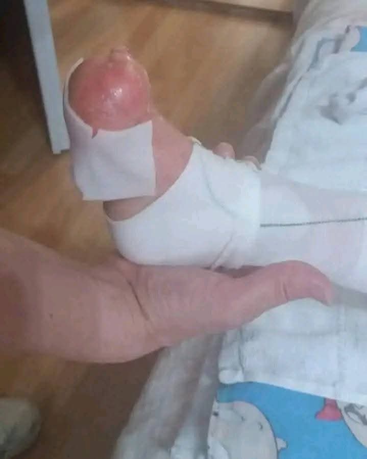 Stolar Mile tweet media