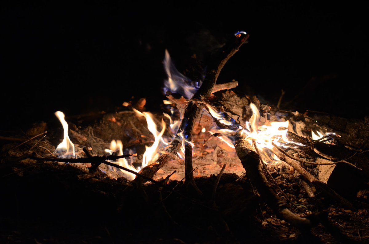 Ravensfell 🇺🇸 tweet media