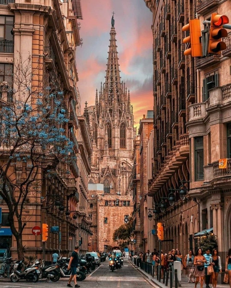 Wildscape Wonders tweet media