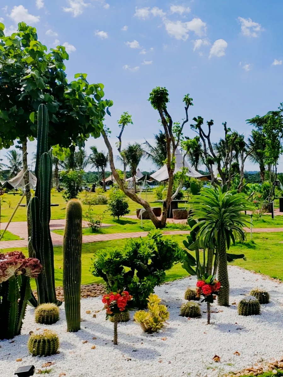 sampo keippila tweet media