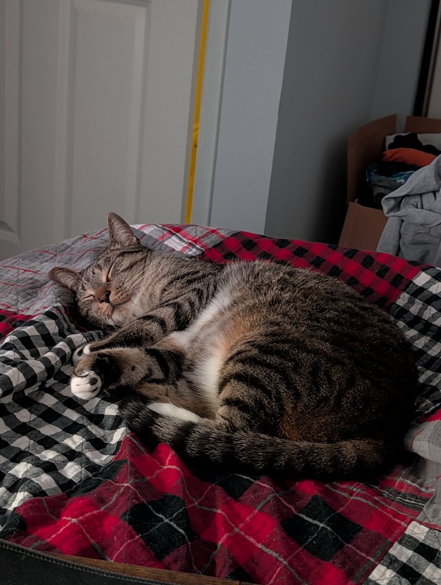 Foopah Destroyer tweet media