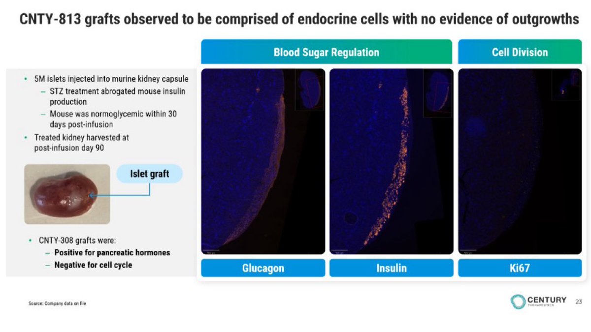 BioMedicalRx 🧬 🇺🇸 ✝️ tweet media